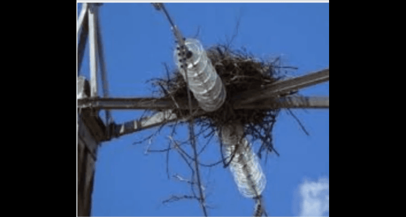 Bird Guard - Perch Deterrent